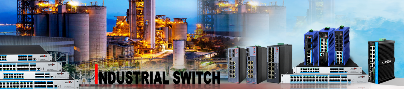 Industrial Switch