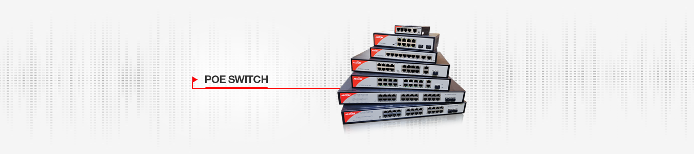 PoE Switch